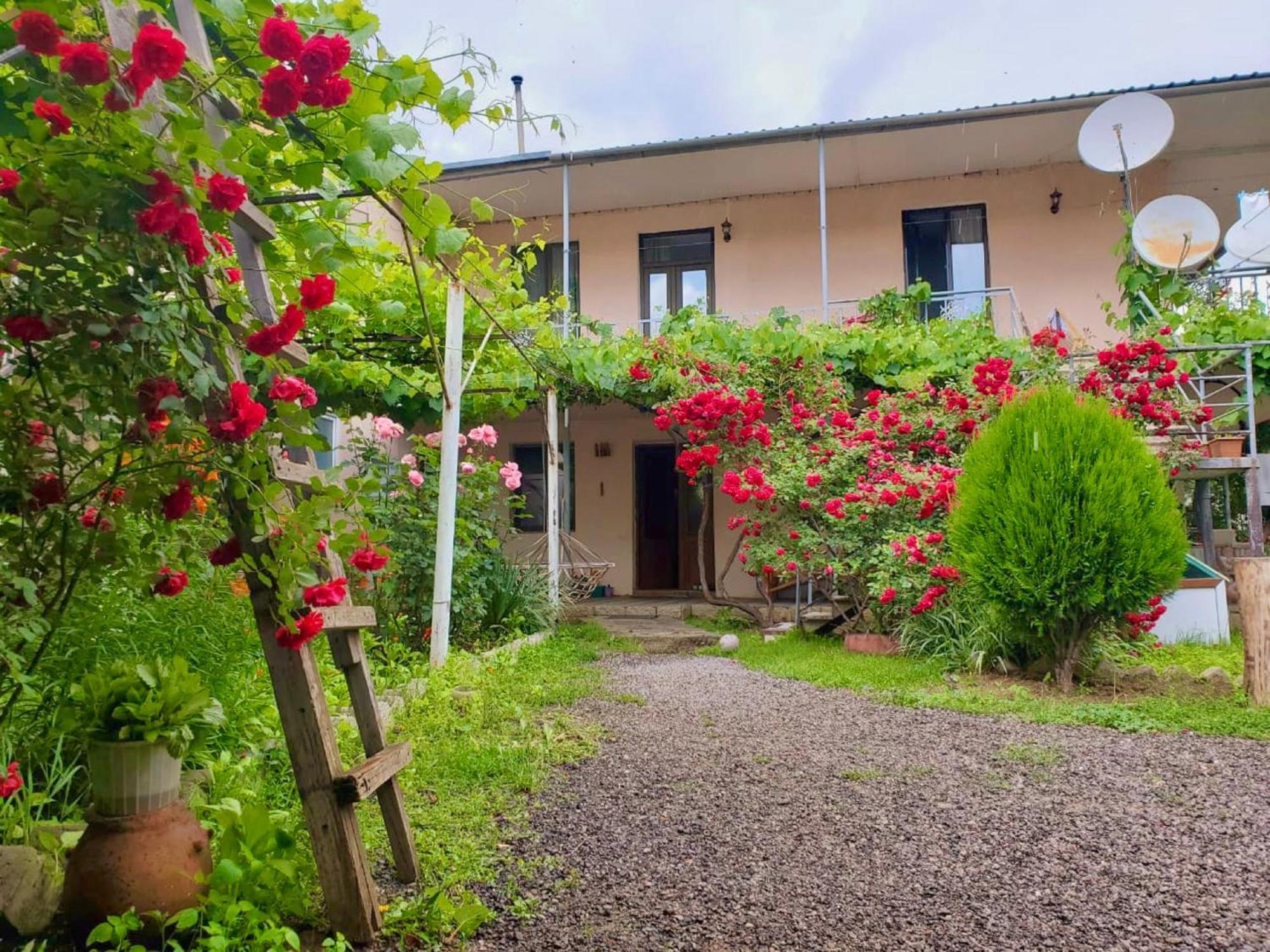 Guesthouse Mtkvari Nakalakevi Exterior foto